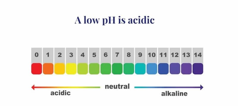 Salicylic Acid vs Retinol pH Levels