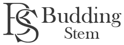 logo budding steam